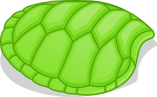 Hoof Of Green Turtle