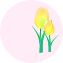 download Tulips clipart image with 45 hue color