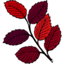 download Autumn Leaves On Branch clipart image with 315 hue color