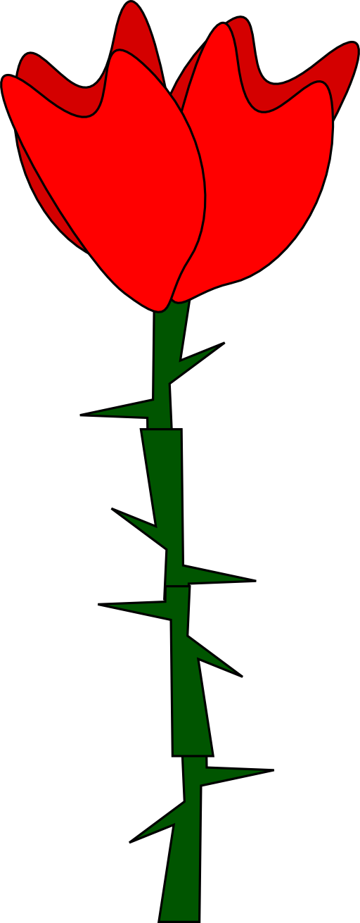 Flor Flower