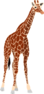 Another Giraffe