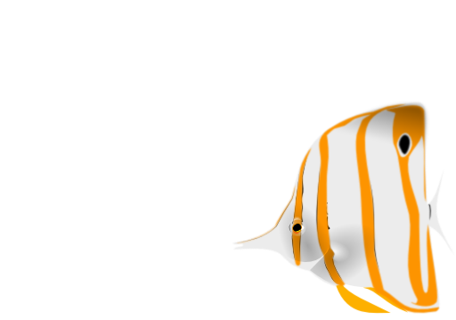 Copperband Butterflyfish