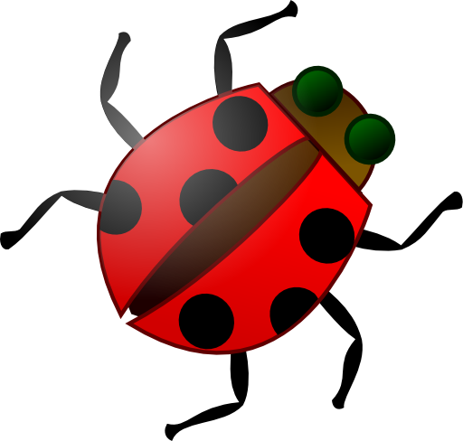 Ladybug