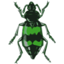 download Spotted Sexton Beetle Necrophorus Guttatus clipart image with 90 hue color