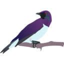 download Exotical Bird clipart image with 315 hue color