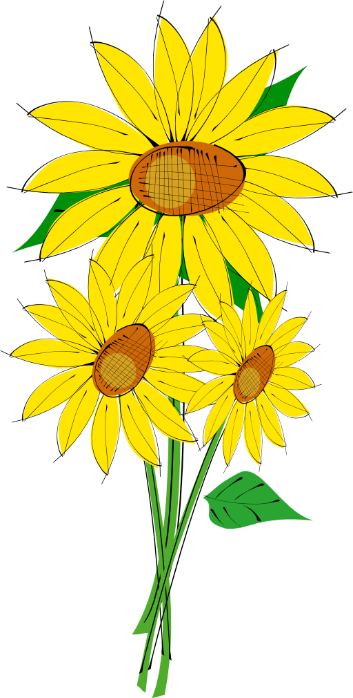 Helianthus