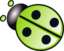 Green Ladybug