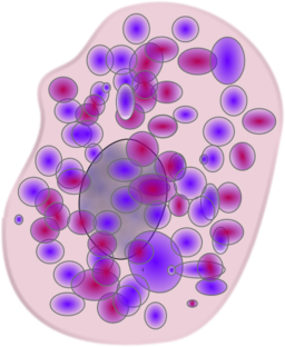 Mast Cell