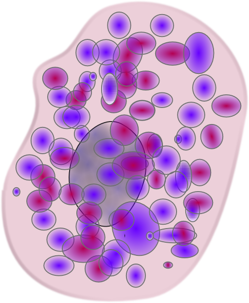 Mast Cell