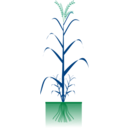 download Cereal Plant clipart image with 90 hue color