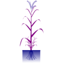 download Cereal Plant clipart image with 180 hue color