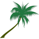 download Palm Tree clipart image with 45 hue color