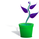 download Plant Growing clipart image with 135 hue color
