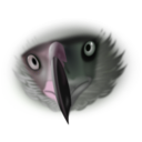 download Eagle Face clipart image with 90 hue color