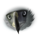 download Eagle Face clipart image with 180 hue color