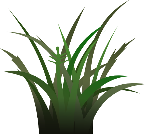 Dark Grass Shaded