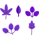 download Set Of Leaves clipart image with 180 hue color