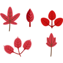 download Set Of Leaves clipart image with 270 hue color