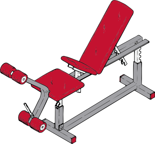 Exercise Bench