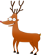 Rudolf