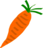 Carrot