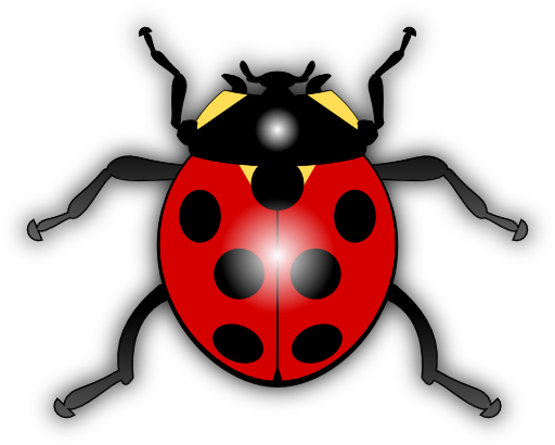 Ladybug