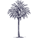 download Date Palm clipart image with 135 hue color