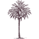 download Date Palm clipart image with 225 hue color