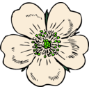 download Wild Rose clipart image with 45 hue color