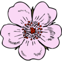 download Wild Rose clipart image with 315 hue color