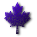 download Maple Leaf 6 clipart image with 270 hue color