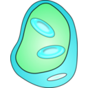 download Blood Vessel With Erythrocites clipart image with 180 hue color