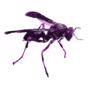 download Wasp 16c clipart image with 270 hue color