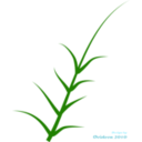 download Green Plant clipart image with 45 hue color