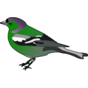 download Male Chaffinch clipart image with 90 hue color