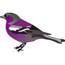 download Male Chaffinch clipart image with 270 hue color