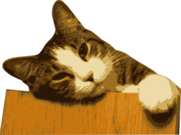 Relaxed Cat Bg Removed