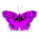 download Mariposa Pirata clipart image with 270 hue color