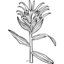 download Ku Castilleja Miniata clipart image with 270 hue color