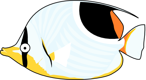 Butterflyfish