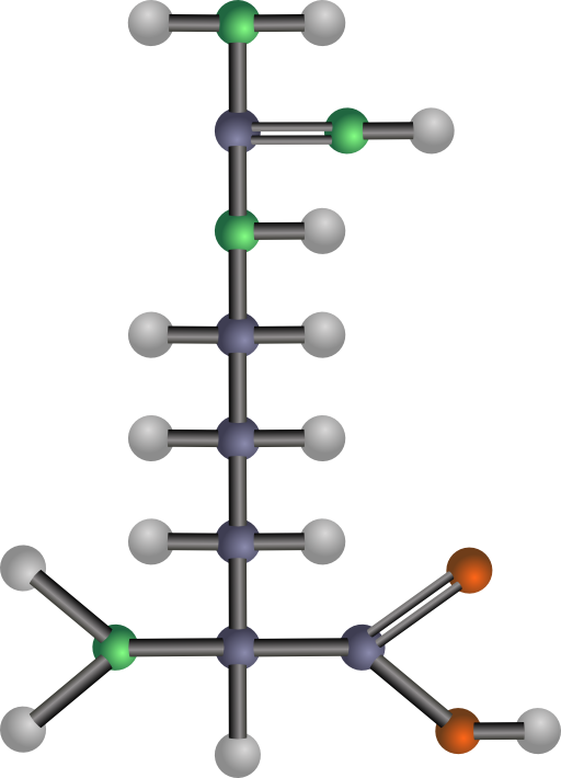 Arginine Amino Acid