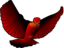 Red Bird