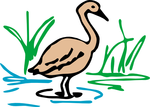 Architetto Pennuto 02