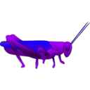 download Grasshopper clipart image with 180 hue color