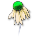 download Flower2 clipart image with 90 hue color