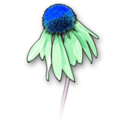 download Flower2 clipart image with 180 hue color