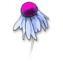 download Flower2 clipart image with 270 hue color