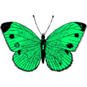 download Butterfly clipart image with 90 hue color
