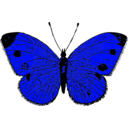 download Butterfly clipart image with 180 hue color