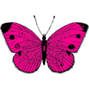 download Butterfly clipart image with 270 hue color